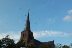 2011-08-27-19.11.32